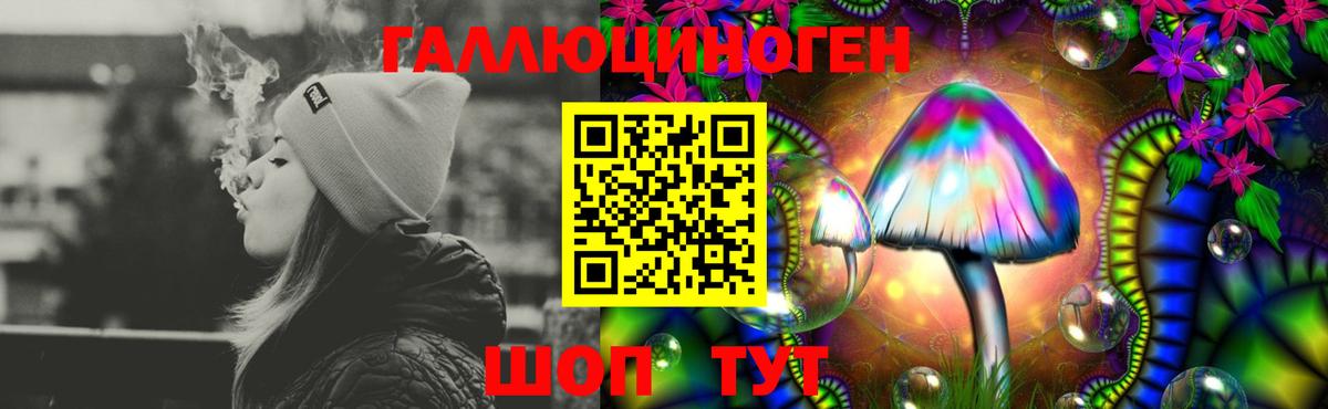 Чебаркуль  Псилоцибиновые грибы Psilocybe  Вход с VPN  наркотики  Псилоцибиновые грибы MAGIC MUSHROOMS 